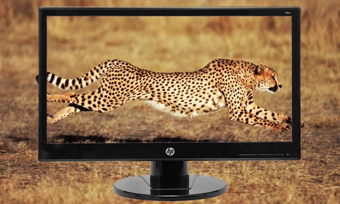 Monitor, LCD hp, 19ka, 18.5 inch, wide, HD